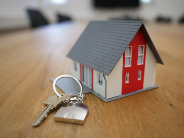 CPA and tax professional reviewing certified real estate appraisal for client tax planning