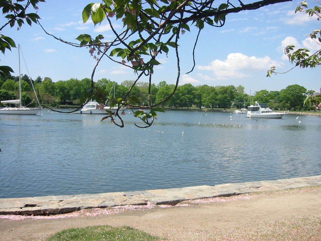 Appraising Homes in Mamaroneck, NY: Harbor Village Market Analysis