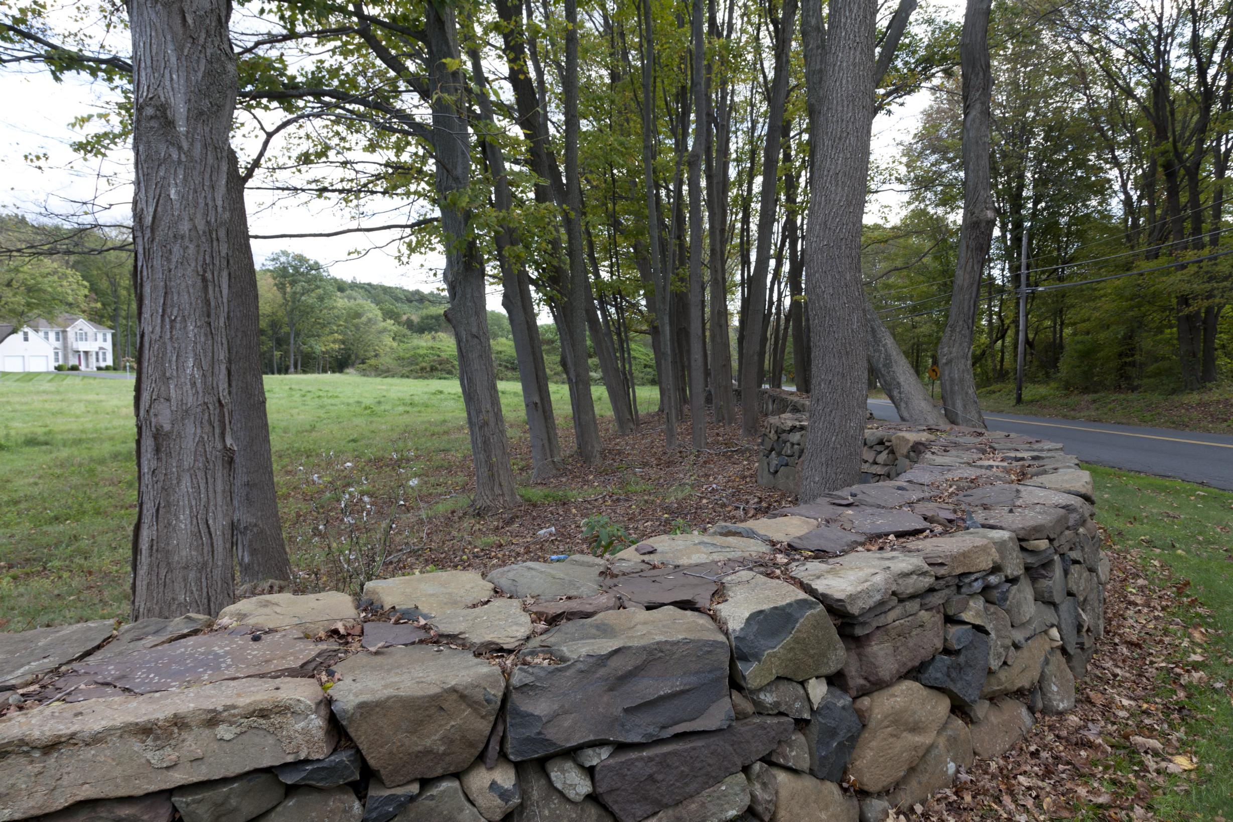 Stone wall and open wooded parcel illustrating vacant land appraisal in Westchester NY and Greenwich CT